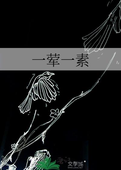 一荤一素