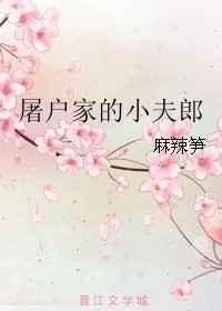 屠户家的小夫郎