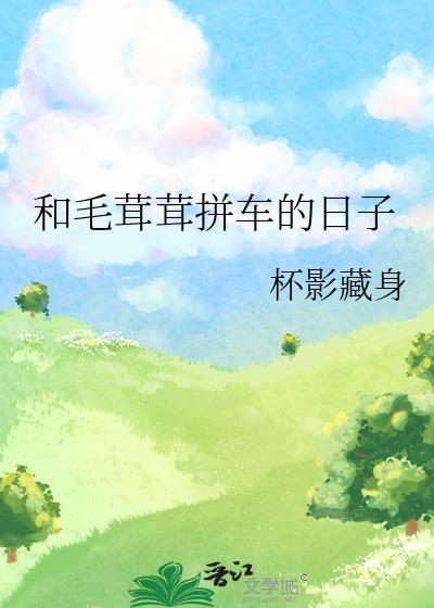 和毛茸茸拼车的日子