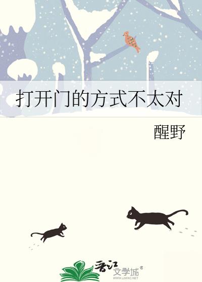 打开门的方式不太对